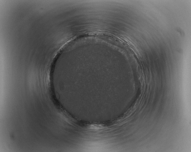 X0000116870508201001051447