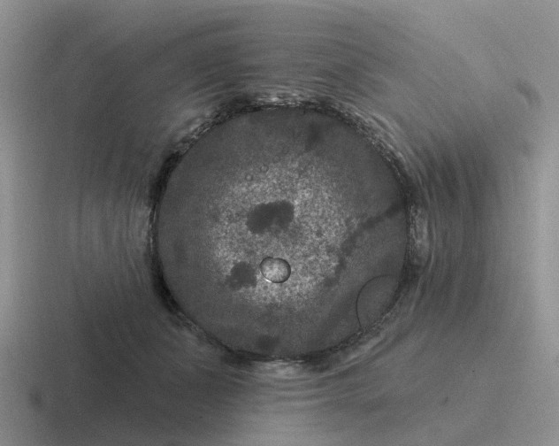 X0000116870511201001051447