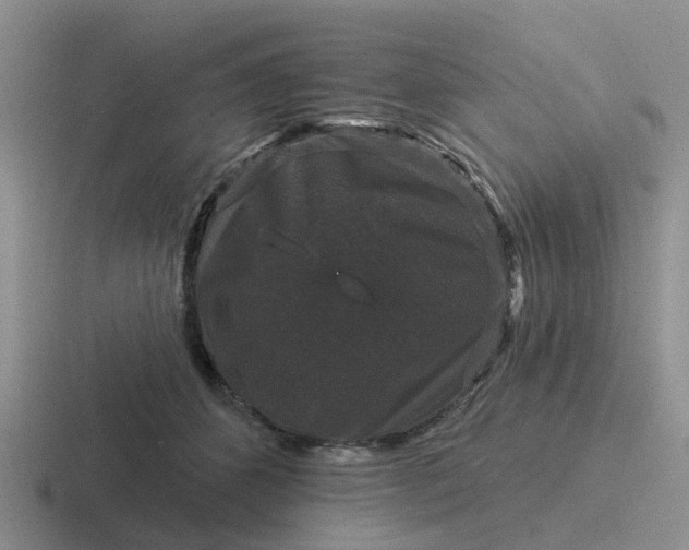 X0000116870512201001051447