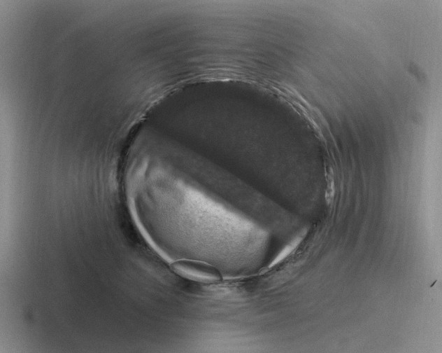 X0000116870516201001051447