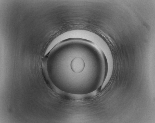 X0000116870517201001051447