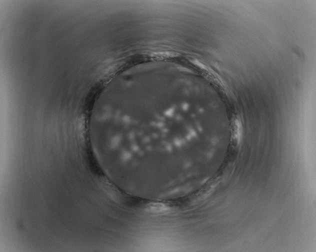 X0000116870519201001051447