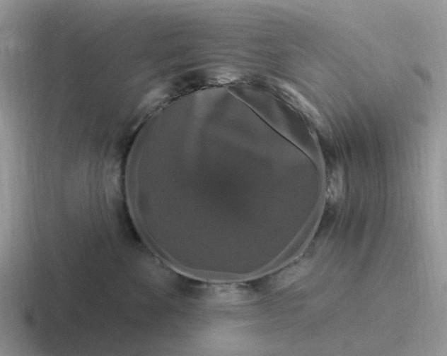 X0000116870524201001051447