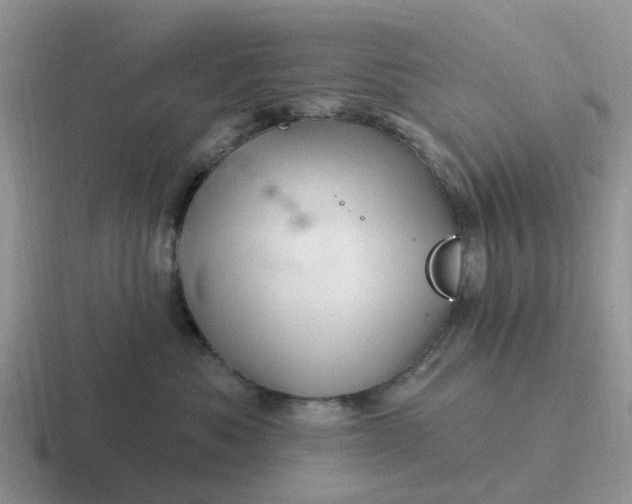 X0000116870525201001051447