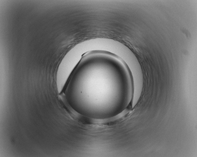 X0000116870528201001051447