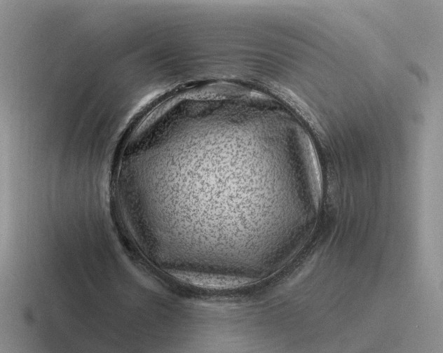 X0000116870530201001051446