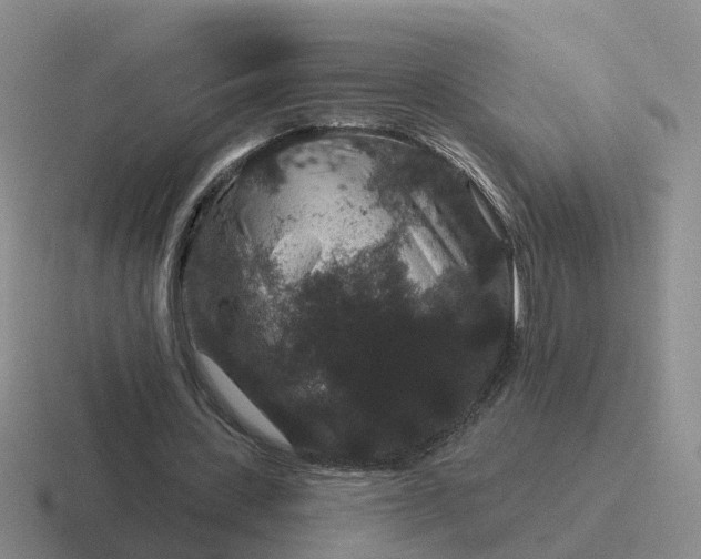 X0000116870531201001051446