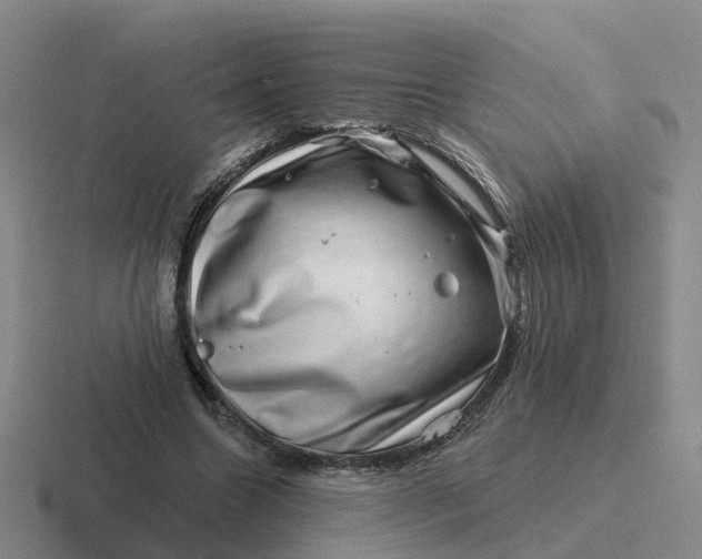 X0000116870538201001051446
