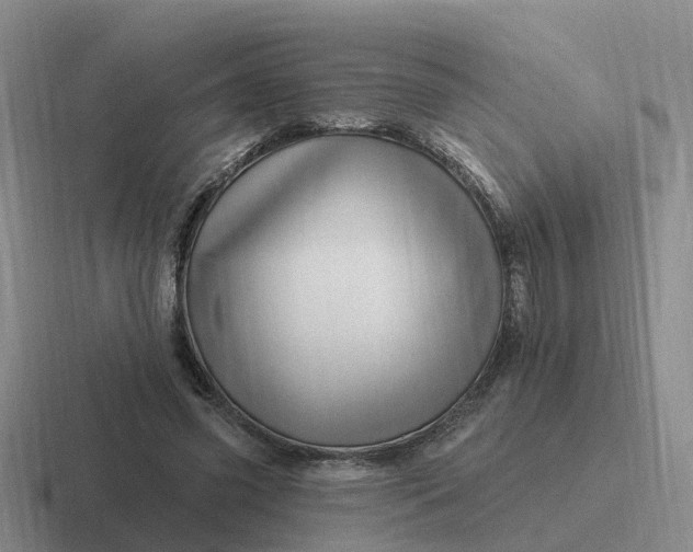 X0000116870541201001051446