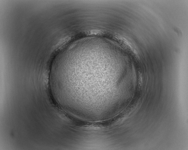 X0000116870545201001051446