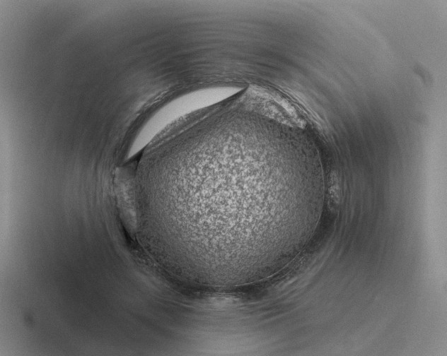 X0000116870547201001051446