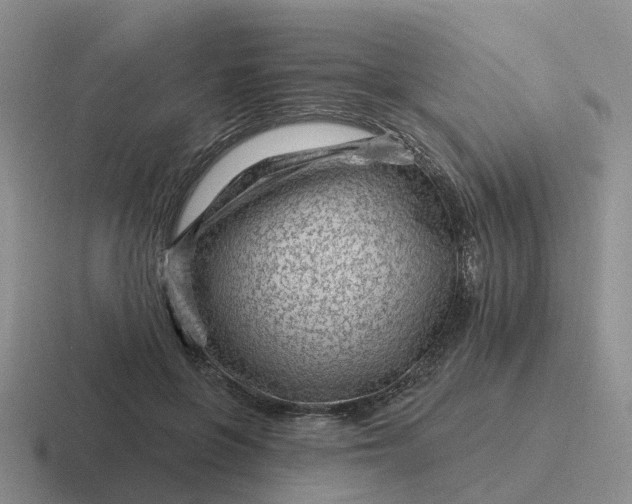 X0000116870551201001051446