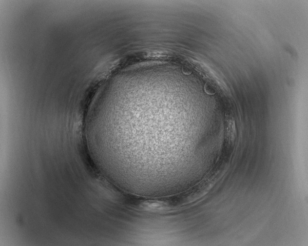 X0000116870557201001051446