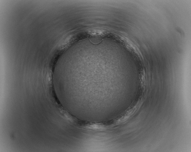 X0000116870561201001051447