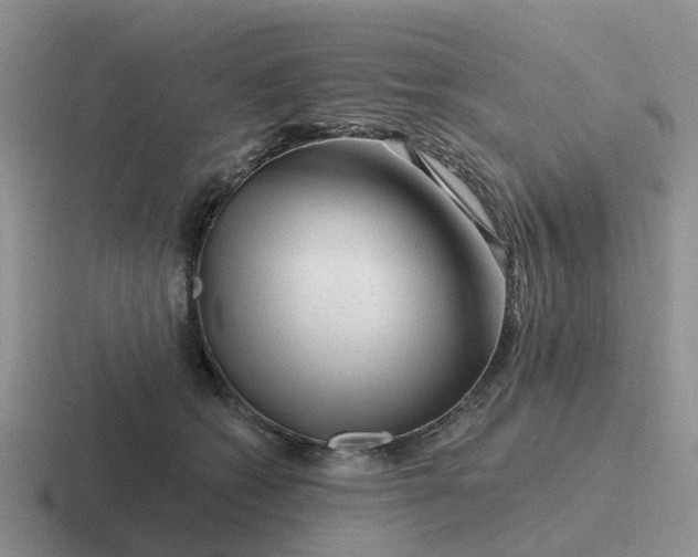 X0000116870562201001051447