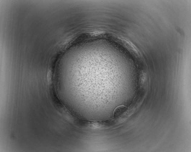 X0000116870565201001051447
