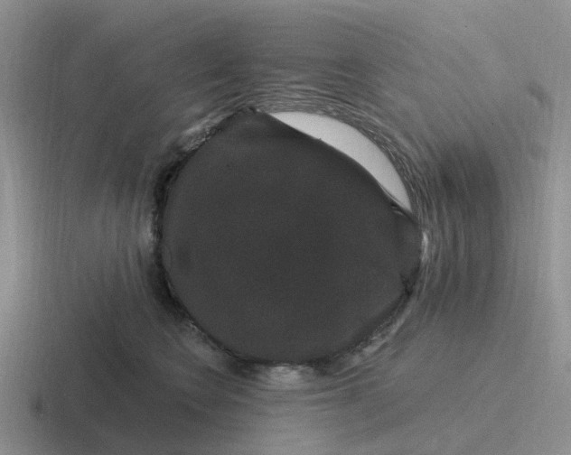 X0000116870566201001051447