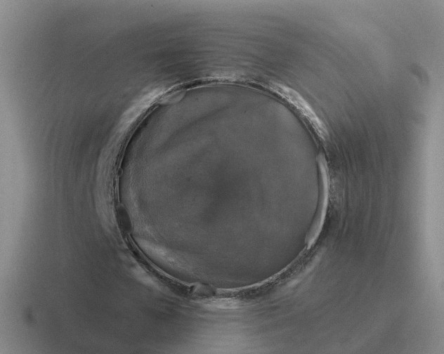 X0000116870577201001051446