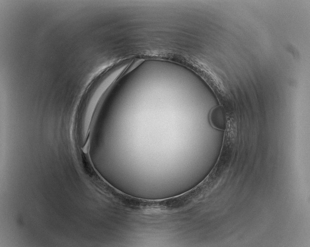 X0000116870587201001051446