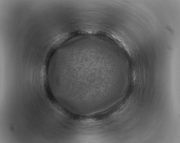 X0000116870594201001051446