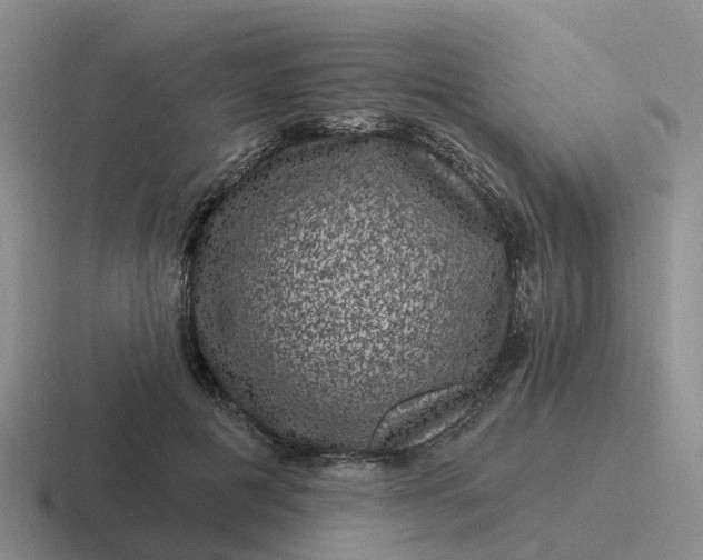 X0000116870601201001051446