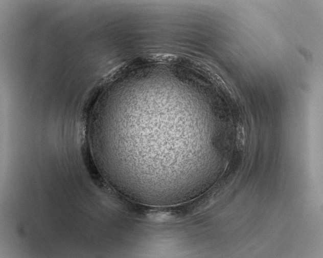 X0000116870602201001051446