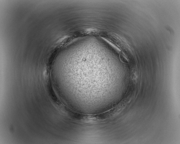 X0000116870607201001051446