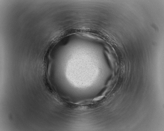 X0000116870609201001051446