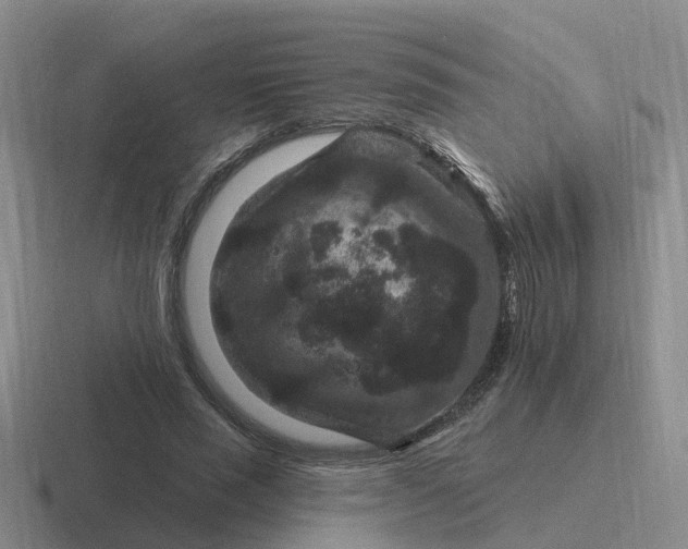 X0000116870637201001051445