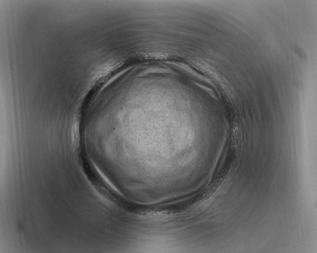 X0000116870638201001051445