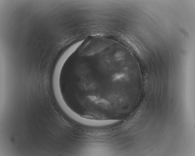 X0000116870641201001051445