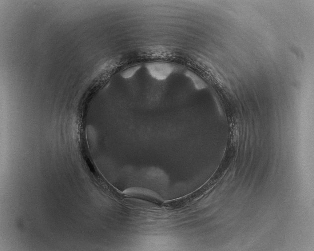 X0000116870643201001051445