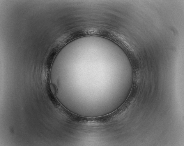 X0000116870645201001051445