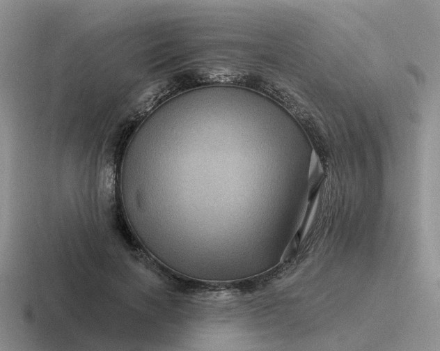 X0000116870646201001051445