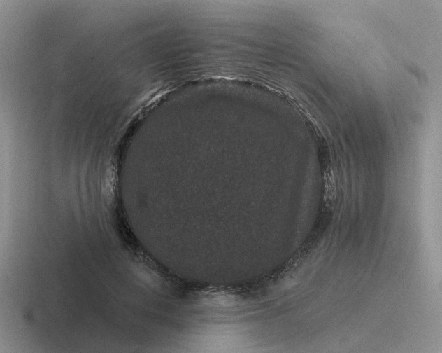 X0000116870648201001051445