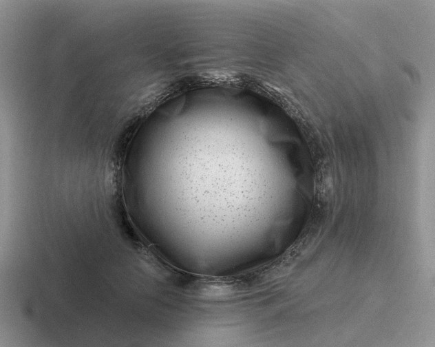 X0000116870658201001051445