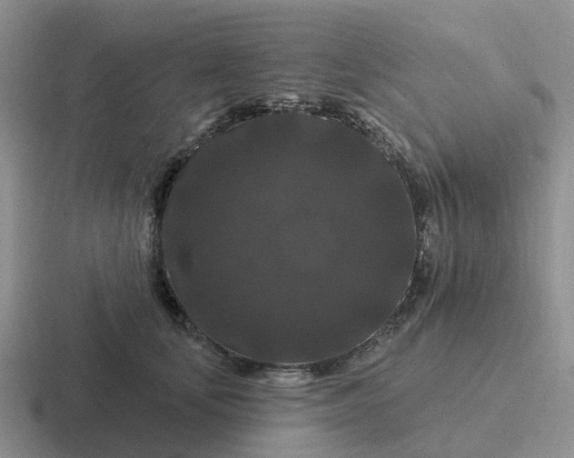 X0000116870659201001051445