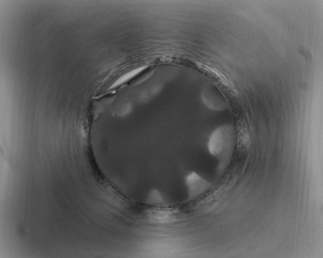 X0000116870661201001051445