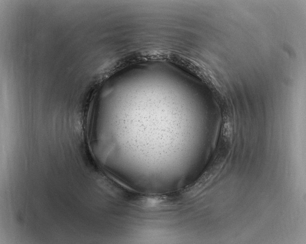 X0000116870662201001051445