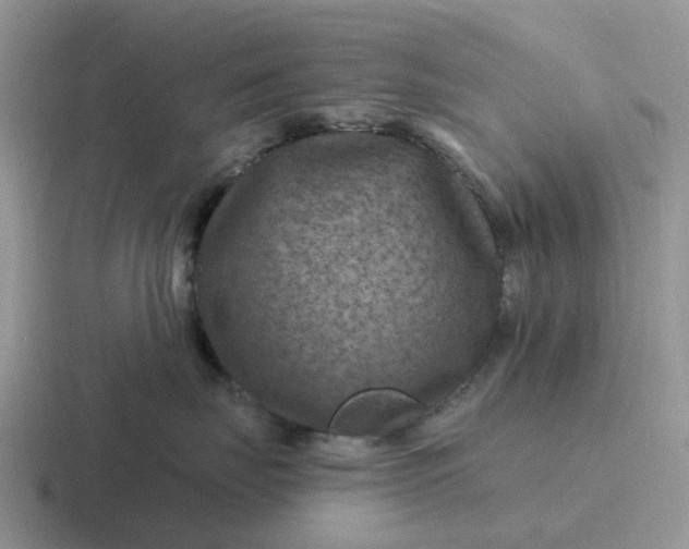 X0000116870671201001051445