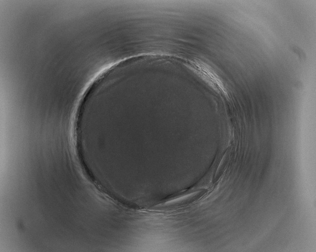 X0000116870676201001051445