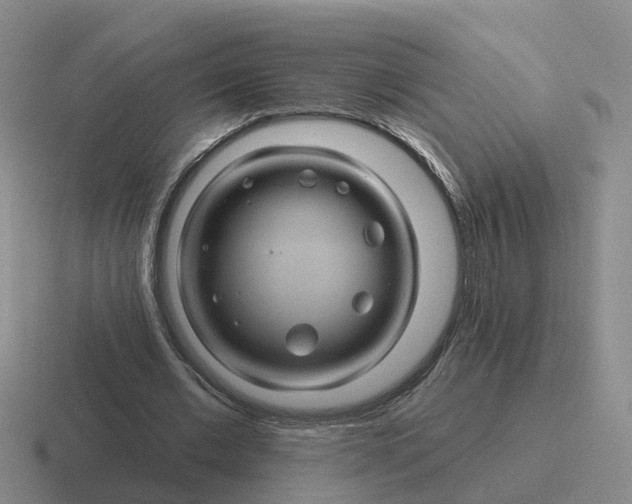 X0000116870677201001051445