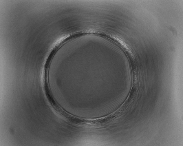 X0000116870678201001051445