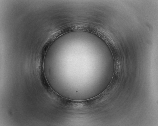 X0000116870698201001051445