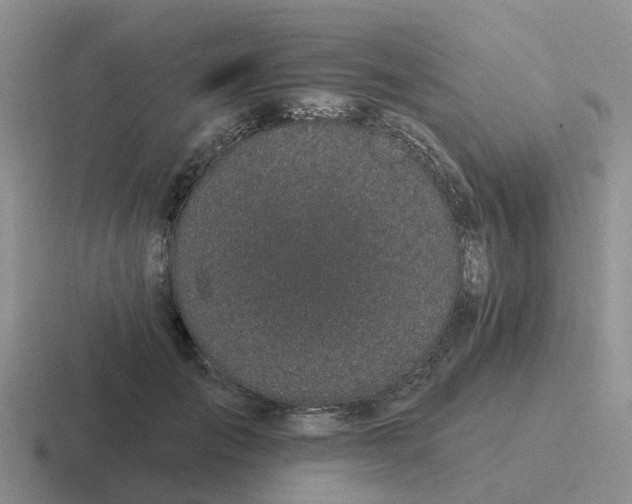X0000116870701201001051445