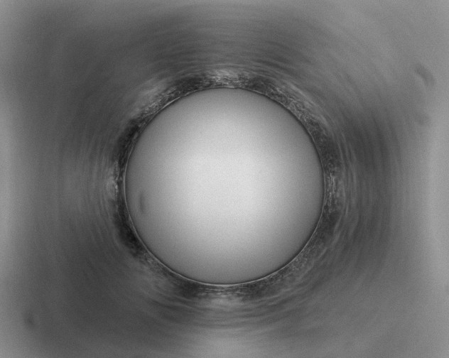 X0000116870702201001051445
