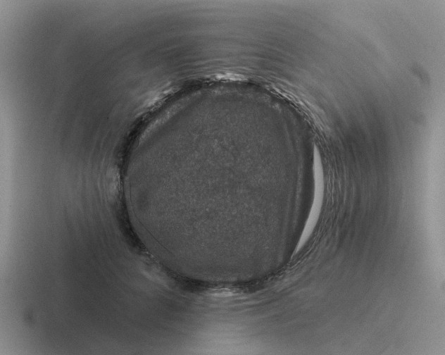 X0000116870704201001051444