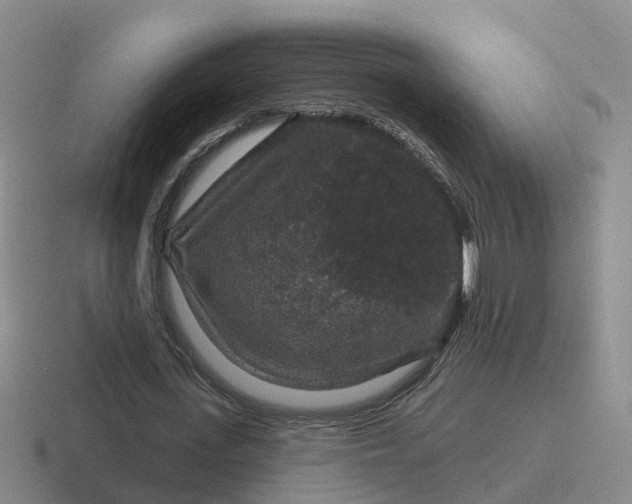 X0000116870723201001051444