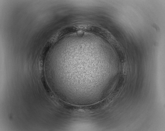 X0000116870737201001051444