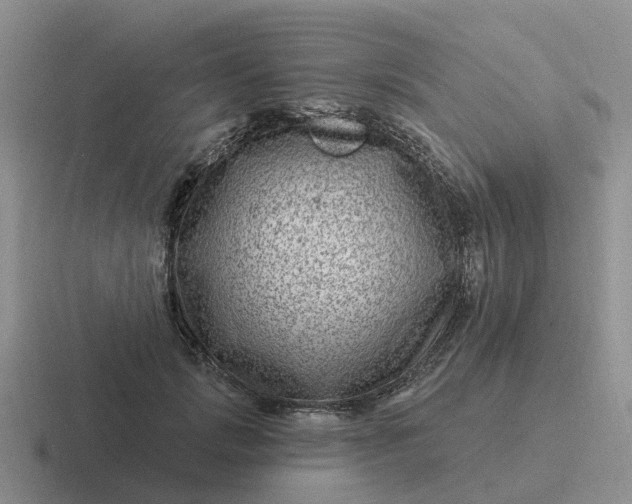 X0000116870749201001051444